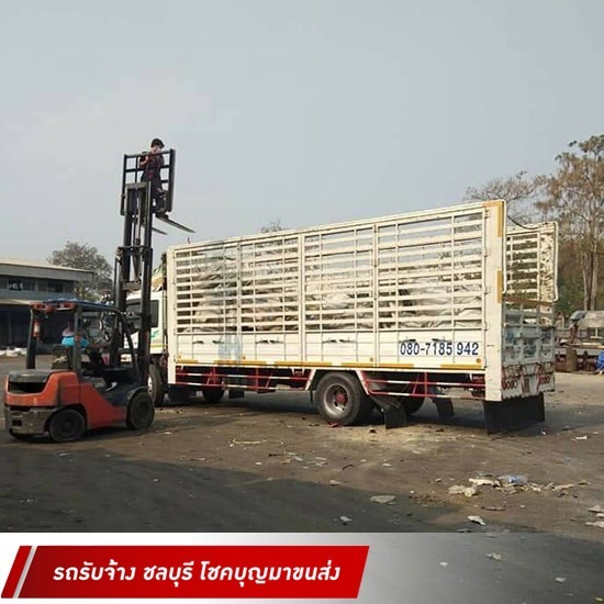 รถบรรทุกรับจ้าง ชลบุรี โชคบุญมาขนส่ง - รถรับจ้างชลบุรี ต่างจังหวัด